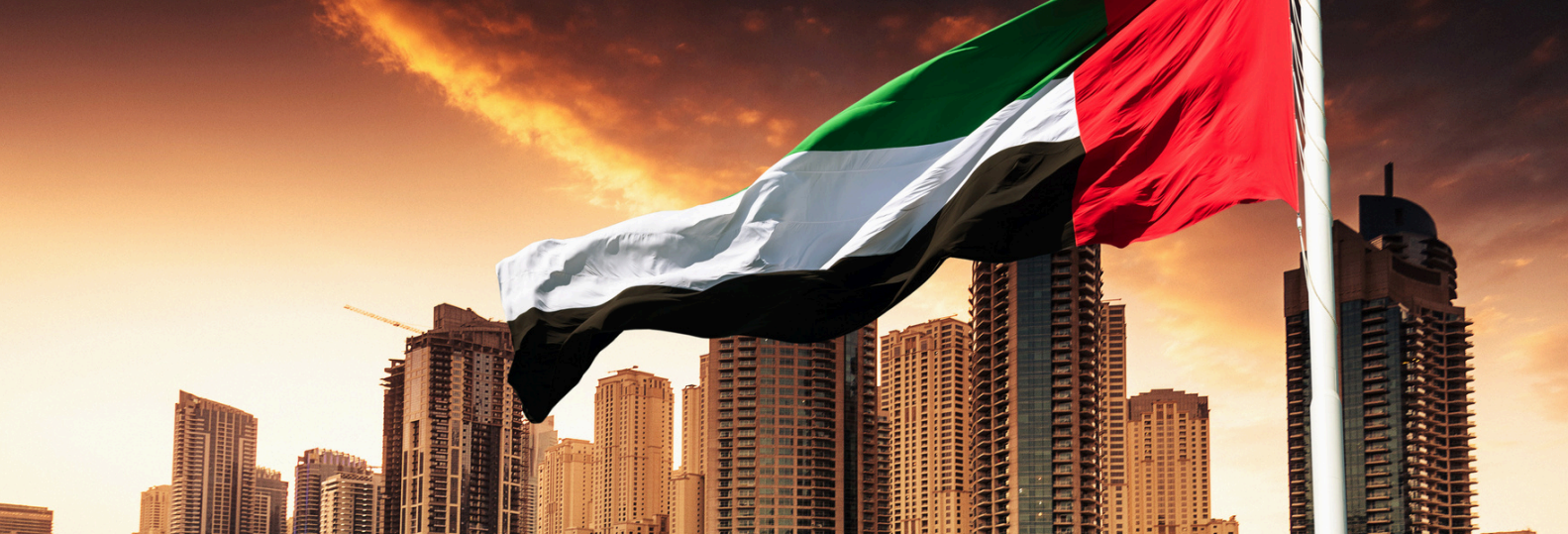 Dubai Business Opportunities